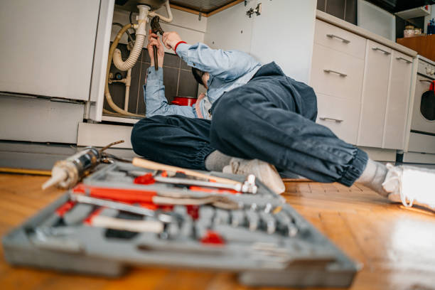 Best Local Plumber Services  in Belmont, WI